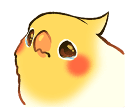 11205401.png;compress=true