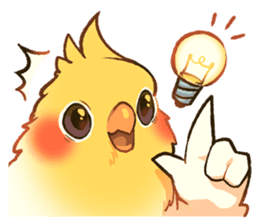 11205419.png;compress=true