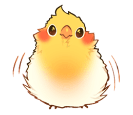 11205431.png;compress=true