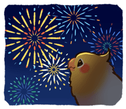 11205433.png;compress=true