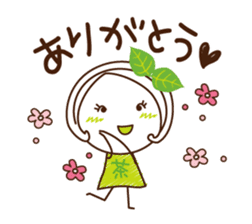 Machako of green tea. Positive words. sticker #11206721
