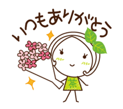 Machako of green tea. Positive words. sticker #11206722