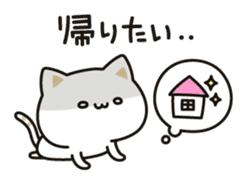 Cat no to concern sticker #11207215