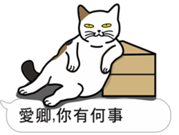 Meow Star to help2~Occupy Chat sticker #11208216