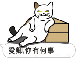 Meow Star to help2~Occupy Chat sticker #11208216