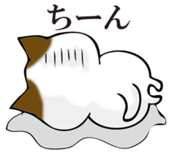 Cat return sticker #11208535