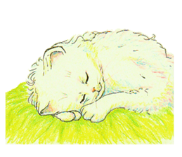 Mofu-cats sticker #11209577