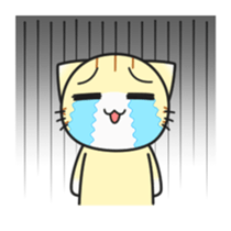 Heal cat Riku sticker #11211069