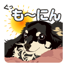 COCO and LOUIS daily conversation sticker #11212440