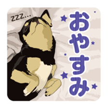 COCO and LOUIS daily conversation sticker #11212442