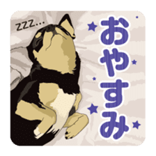 COCO and LOUIS daily conversation sticker #11212442