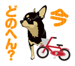 COCO and LOUIS daily conversation sticker #11212446