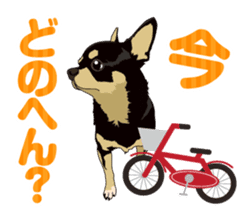 COCO and LOUIS daily conversation sticker #11212446