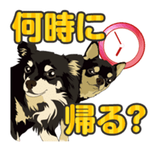 COCO and LOUIS daily conversation sticker #11212447