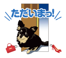 COCO and LOUIS daily conversation sticker #11212448