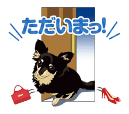 COCO and LOUIS daily conversation sticker #11212448