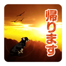 COCO and LOUIS daily conversation sticker #11212449