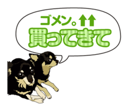 COCO and LOUIS daily conversation sticker #11212450