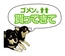 COCO and LOUIS daily conversation sticker #11212450