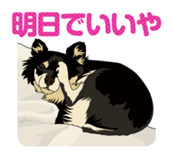 COCO and LOUIS daily conversation sticker #11212451