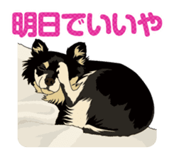 COCO and LOUIS daily conversation sticker #11212451