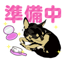 COCO and LOUIS daily conversation sticker #11212452