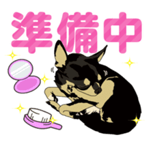 COCO and LOUIS daily conversation sticker #11212452