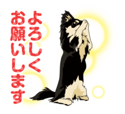 COCO and LOUIS daily conversation sticker #11212454