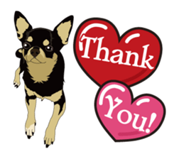 COCO and LOUIS daily conversation sticker #11212455