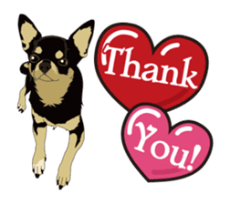 COCO and LOUIS daily conversation sticker #11212455