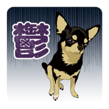 COCO and LOUIS daily conversation sticker #11212456