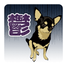 COCO and LOUIS daily conversation sticker #11212456