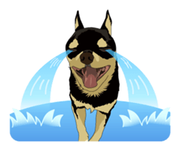 COCO and LOUIS daily conversation sticker #11212458