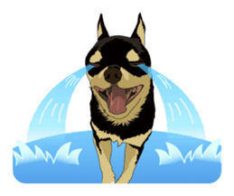 COCO and LOUIS daily conversation sticker #11212458