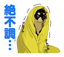 COCO and LOUIS daily conversation sticker #11212459