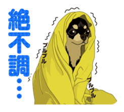 COCO and LOUIS daily conversation sticker #11212459