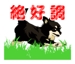 COCO and LOUIS daily conversation sticker #11212460