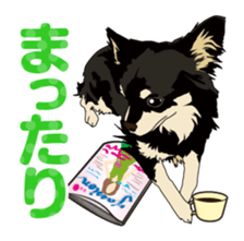 COCO and LOUIS daily conversation sticker #11212461