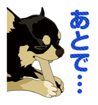 COCO and LOUIS daily conversation sticker #11212463