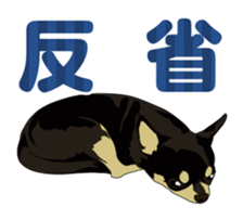 COCO and LOUIS daily conversation sticker #11212465