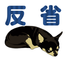 COCO and LOUIS daily conversation sticker #11212465