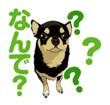 COCO and LOUIS daily conversation sticker #11212466