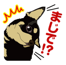 COCO and LOUIS daily conversation sticker #11212467