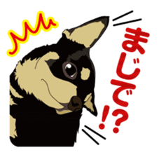 COCO and LOUIS daily conversation sticker #11212467