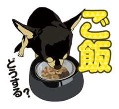 COCO and LOUIS daily conversation sticker #11212468