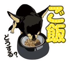 COCO and LOUIS daily conversation sticker #11212468