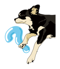 COCO and LOUIS daily conversation sticker #11212469