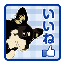 COCO and LOUIS daily conversation sticker #11212470