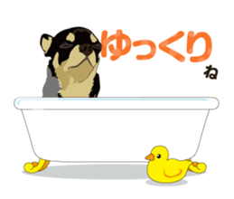 COCO and LOUIS daily conversation sticker #11212471