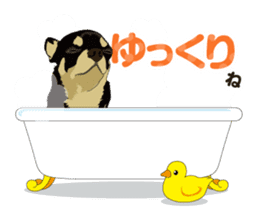 COCO and LOUIS daily conversation sticker #11212471